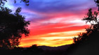 Summer wallpapers39